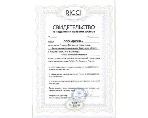 RICCI HBS 4519 нержавеющая сталь / эмаль решетки / газ-контроль